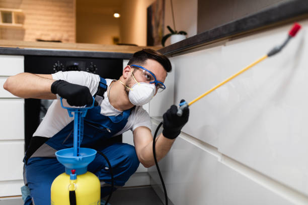Best Termite Control Services  in Bellows Falls, VT