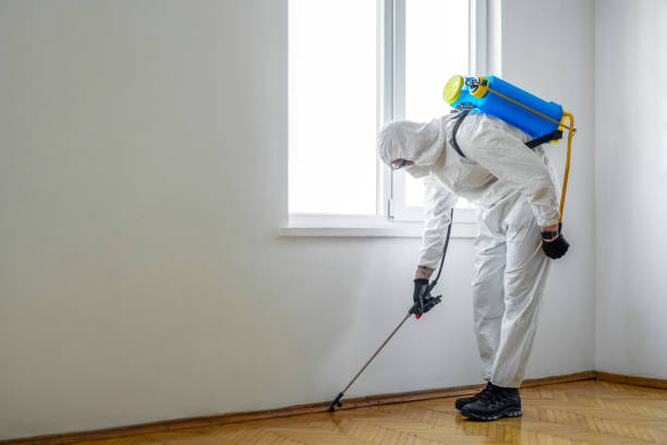 Best Bed Bug Extermination  in Bellows Falls, VT