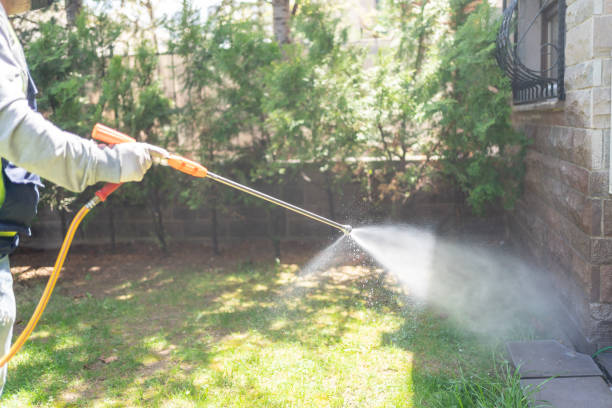 Best Best Pest Control Companies  in Bellows Falls, VT